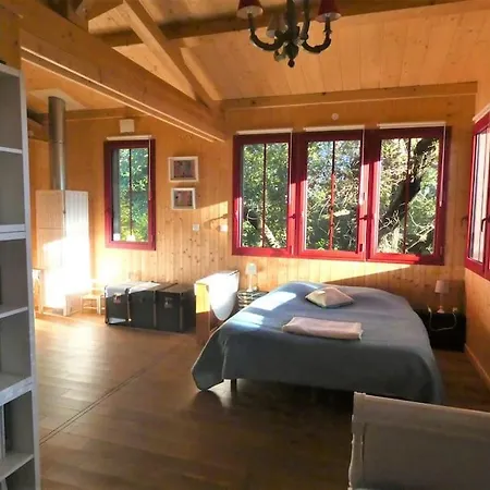 Maison Dans Un Parc Boise Jusqu'a 7 Pers, Plages A Pied * Le Pradet