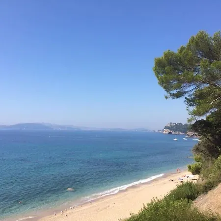 Maison Dans Un Parc Boise Jusqu'a 7 Pers, Plages A Pied Le Pradet